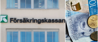 Försäkringskassan utreder alla anmälningar: "Det är vår skyldighet"