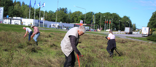 Slåttern avklarad i Vibjörnsparken