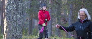 Anneli lever sin dröm • Öppnade dagcenter för hundar • "Svårt att vara deprimerad"