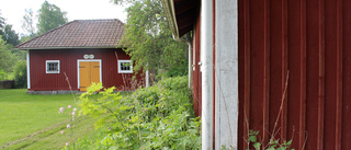 Sommartradition öppnar efter coronauppehåll