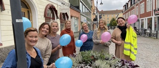 Citygruppen rivstartar hösten med blå och rosa kvällar