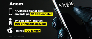 Nära 200 husrannsakningar under Anom-insatsen