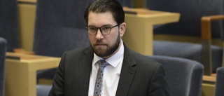 Liberalerna borde lyssna på Åkesson