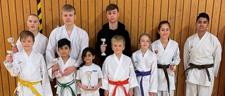 Sju medaljer till Norrköpings Sportkarate: "Vi är som Brentford"