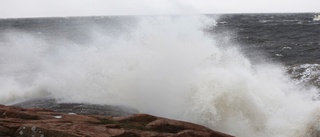 Vågor på havet slungar tillbaka miljögifter