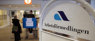 Det blir svårt att ersätta Arbetsförmedlingen