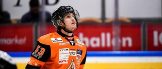 SHL-backen som Hästen vill ha?