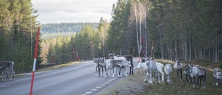 Samernas riksförbund kräver utredning kring tågtestbanan