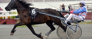 Skelleftehäst på poängjakt inför SM-start – avslutade sylvasst