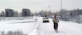 Förslag: Det vill Miljöpartiet förbjuda på Parkbron