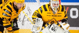 Skellefteå AIK:s viktiga besked inför seriefinalen – alla spelare och ledare är friska efter sjukdomskaoset