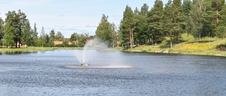 Stort parkområde köps av kommunen, tar på sig att sköta marken för lång tid