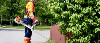 Färre unga får feriejobb i Norsjö