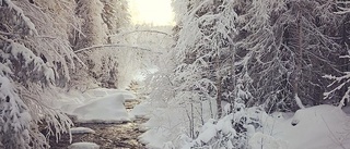 Så blir vädret på vintersimmet på lördag • Då kommer snön tillbaka – här kan det snöa mest