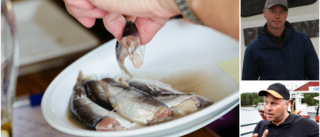 Förväntad brist på surströmming även i år