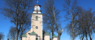 Glädjande trädtankar i Mörlunda