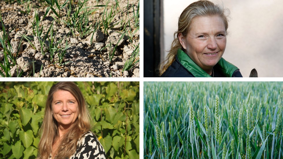 Susanne Boe Skåmedal (t v), enhetschef på enheten för landsbygd vid Länsstyrelsen Östergötland håller med om att bristen på tillväxt är ett problem. Jeanette Blackert, ordförande i LRF (t h), ser allvarligt på situationen. "Det börjar bli oroväckande torrt runt om i länet", säger hon. 