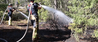 Skogsbrand bröt ut i värmen – flera patruller på plats