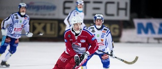 Kalix Bandy: "Lite bredd har väl saknats"