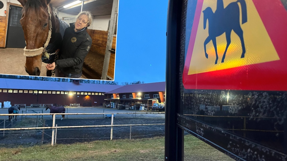 Vilsta Ridskola är en stor anläggning med 19 hästar tillhörande skolan och tre privata.