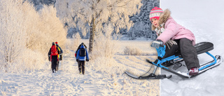 Nya glädjeprognosen: Kan bli snö på julafton i Östergötland