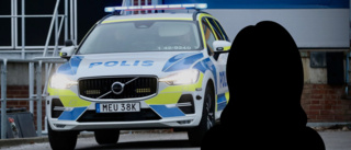 Hennes man skulle hämta barnen – togs av polis istället