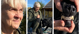 Catharina hamnade i dragkamp om sin hund - misstogs vara Essie