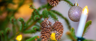 Absurt att inte få önska kollegorna "god jul"