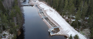 Kanonstart för jätteprojektet – sällsynta fisken har redan setts