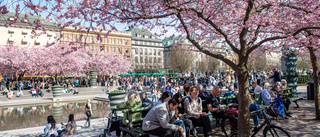 Uppsala ska få sitt eget Kungsträdgården