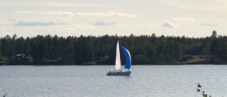 82-åring startar i Rumble On The Bay