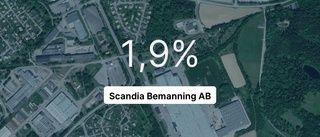 Pilarna pekar nedåt för Scandia Bemanning AB