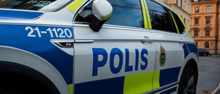 15-åring riktade pistol mot rånoffrets huvud