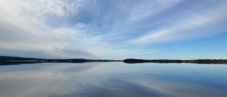 Läsarbilden: Blå toner          