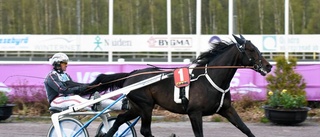 Makethemark övertygade på Solvalla