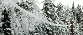 Snötyngda träd orsakade kortslutning