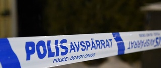 Två anhållna misstänkta för mordbrand