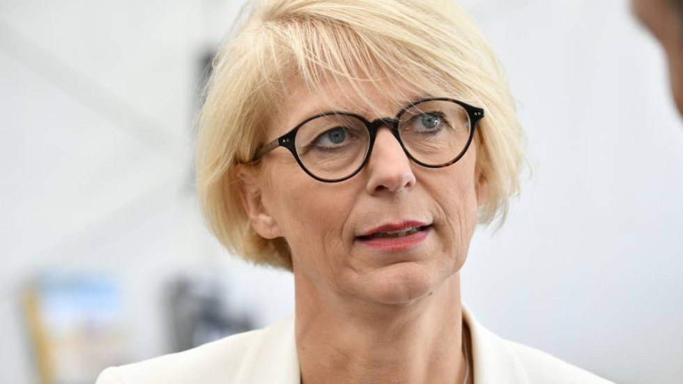 Vad menar Elisabeth Svenatesson med att bidrag lönar sig framgör arbete? frågar sig Robert Höglund.