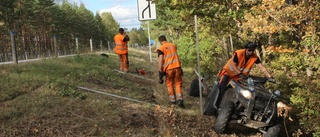 Utökade planer: Ska bli viltstängsel längs tre mil av E22 