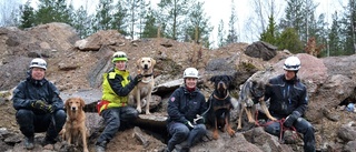 Räddningshundar har tränats i Hultsfred