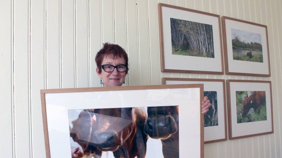 Vibeke Mathiesen har bland annat fotograferat kornas mular i närbild.