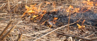 Varning för gräsbrand i Östergötland