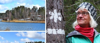 Nytt naturreservat på gång: Så påverkas badplatsen, elljusspåret – och framtida byggplaner