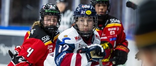 Luleå Hockey/MSSK kunde inte stänga semifinalen