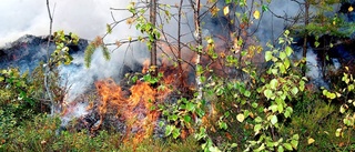 Larm om skogsbrand