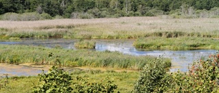 Prisas för naturreservat