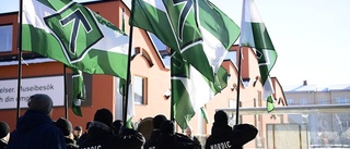 Ny brottsutredning mot nazistsajt