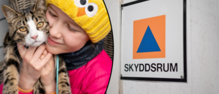 Så gör du med ditt husdjur vid krig: "Skyddsrummen finns främst för de som ska jobba" • Checklistan • Vikten av att öva innan