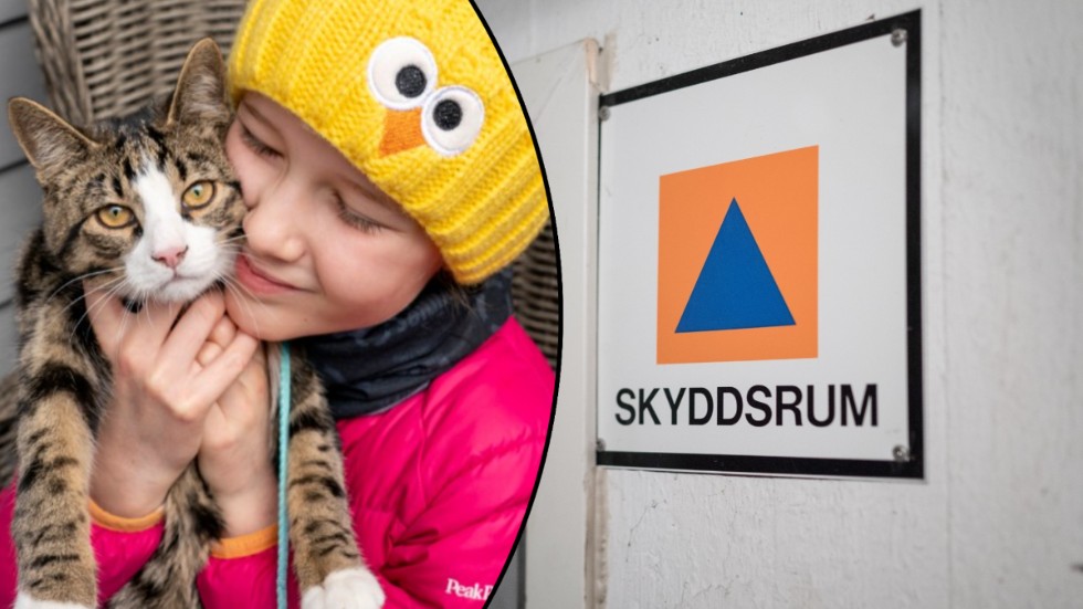 "I ett läge då man behöver evakueras från sin bostad tar man om möjligt förstås med sig sina husdjur. Har du en bur, väska eller något annat att transportera ditt husdjur i om det blir nödvändigt? Husdjur får däremot inte tas med till skyddsrum på grund av allergirisken", skriver MSB på sin hemsida.