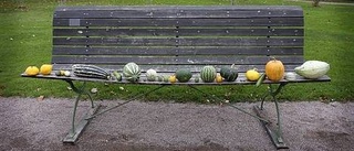 Den smaklösa familjen tar plats